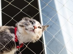 Redes de segurança residencial em Goiânia
