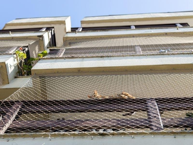 Telas de Segurança para Janelas Trindade Redes de Proteção Trindade