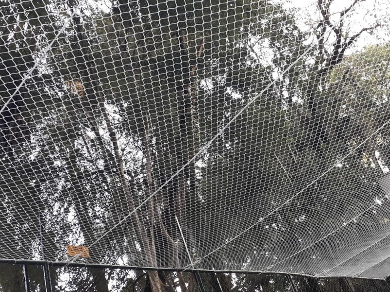 Garanta a segurança de sua família com rede residencial em Jardim Guanabara, Goiânia