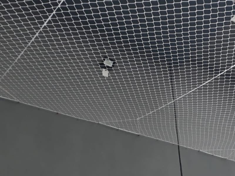 Telas de Proteção Para Piscinas em Brazabrantes Telas de Proteção Para Piscinas em Brazabrantes